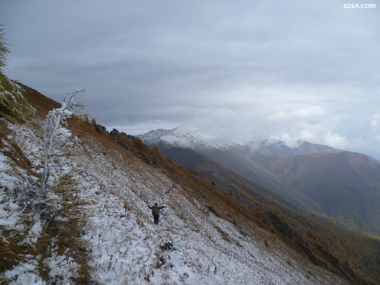 P1020442.JPG