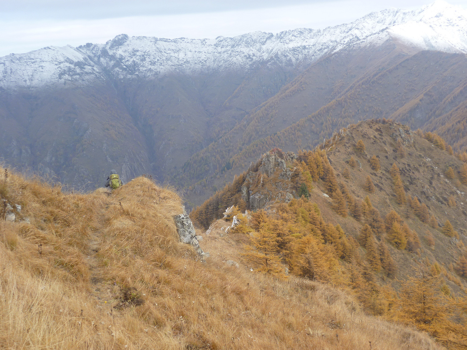 P1020444.JPG