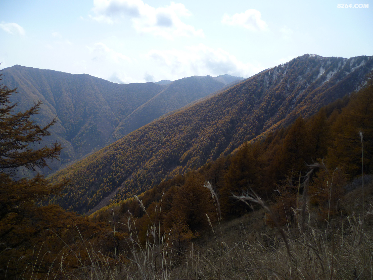 P1020467.JPG
