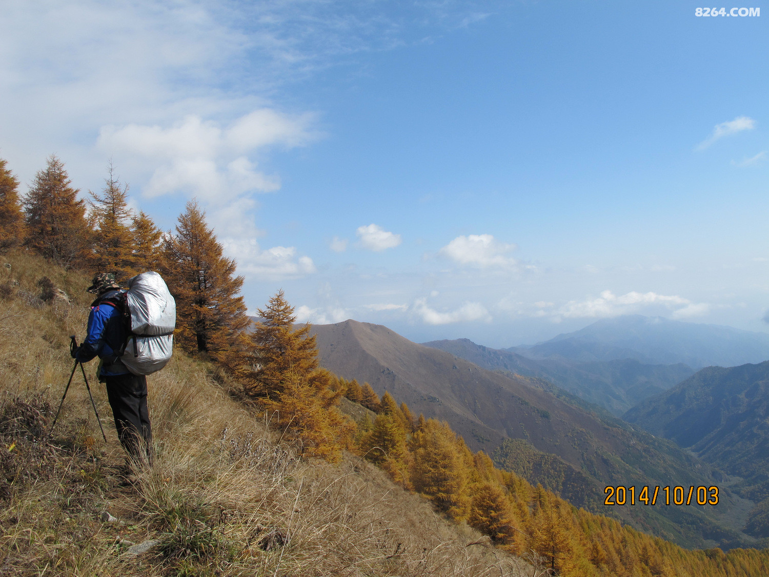 IMG_5780.JPG