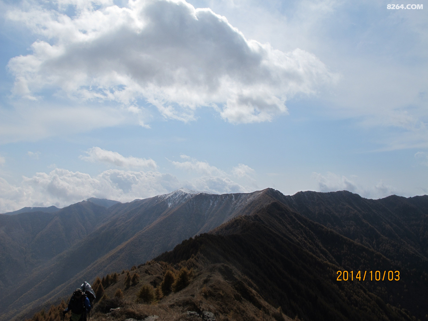 IMG_5788.JPG