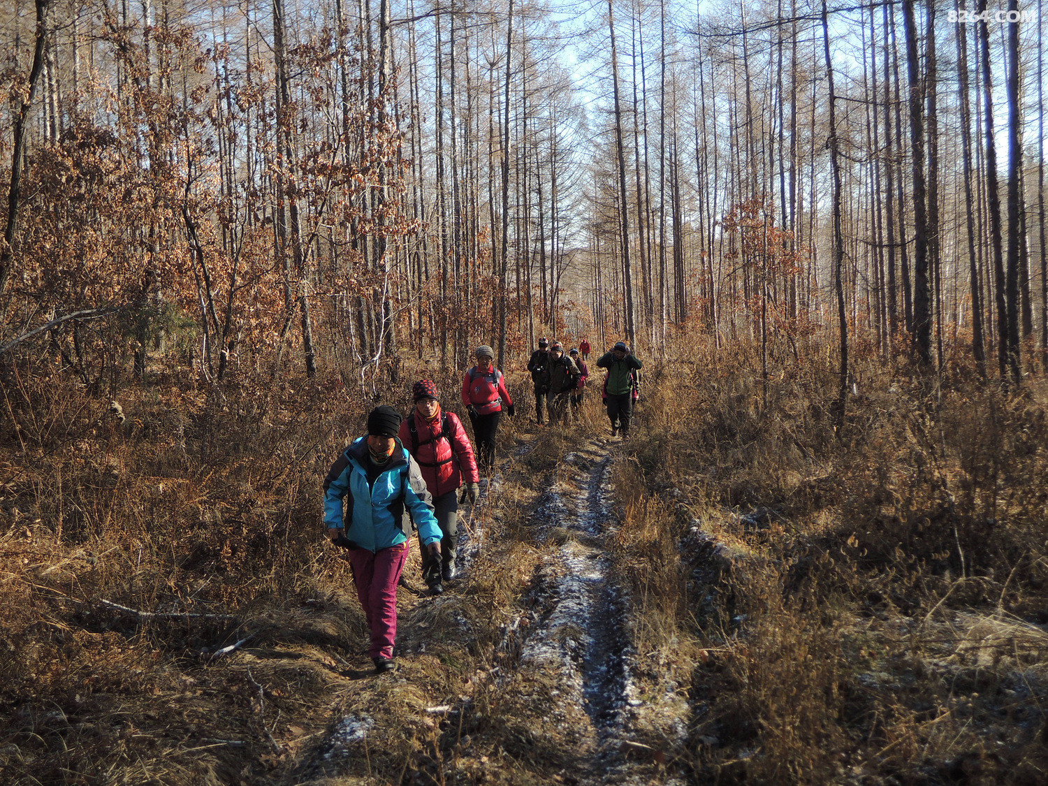 2015117徒步田野山林逊克