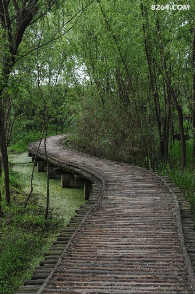 杭州西溪湿地公园
