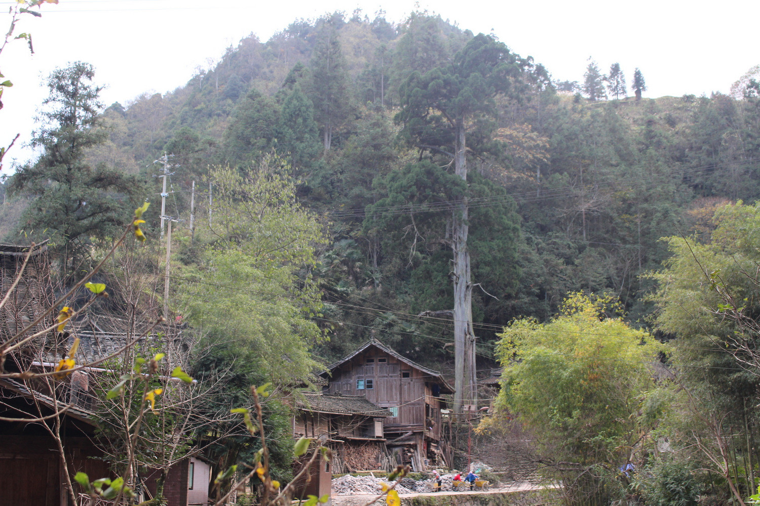 走进中国传统古村落雷山格头村20151121