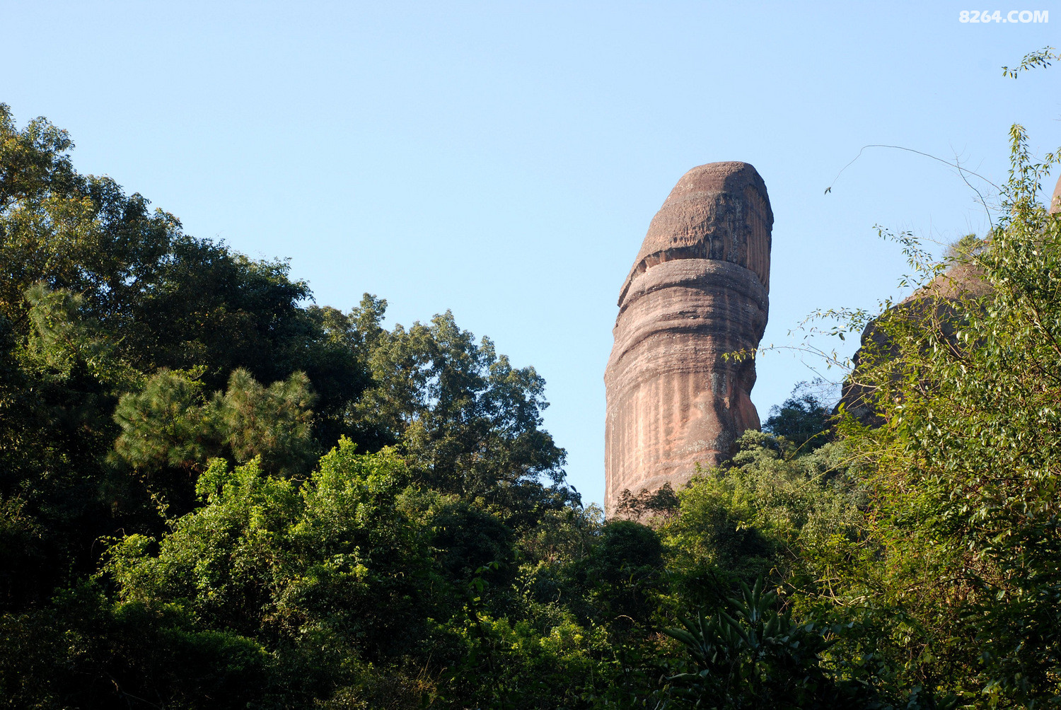 DSC_0006.JPG