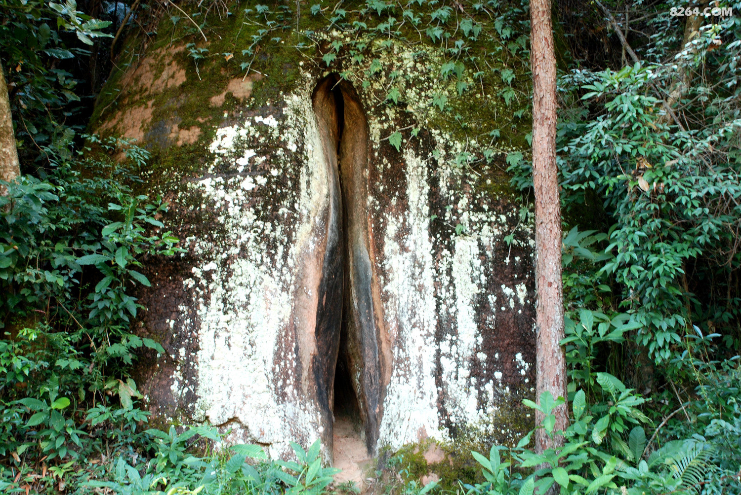 DSC_0035.JPG