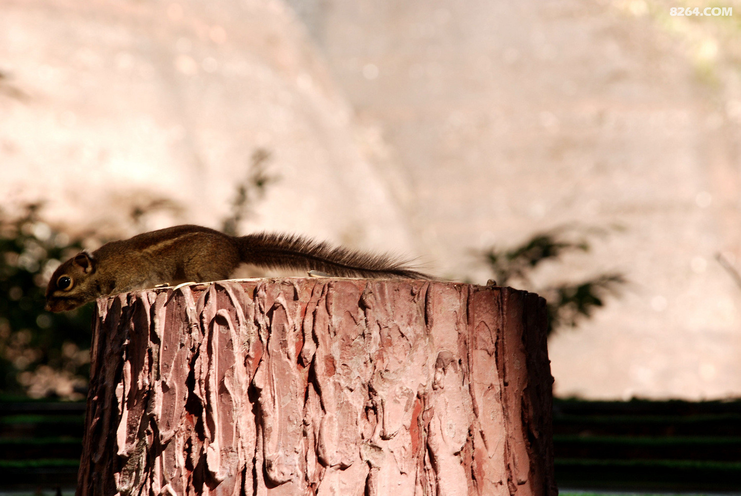 DSC_0021.JPG