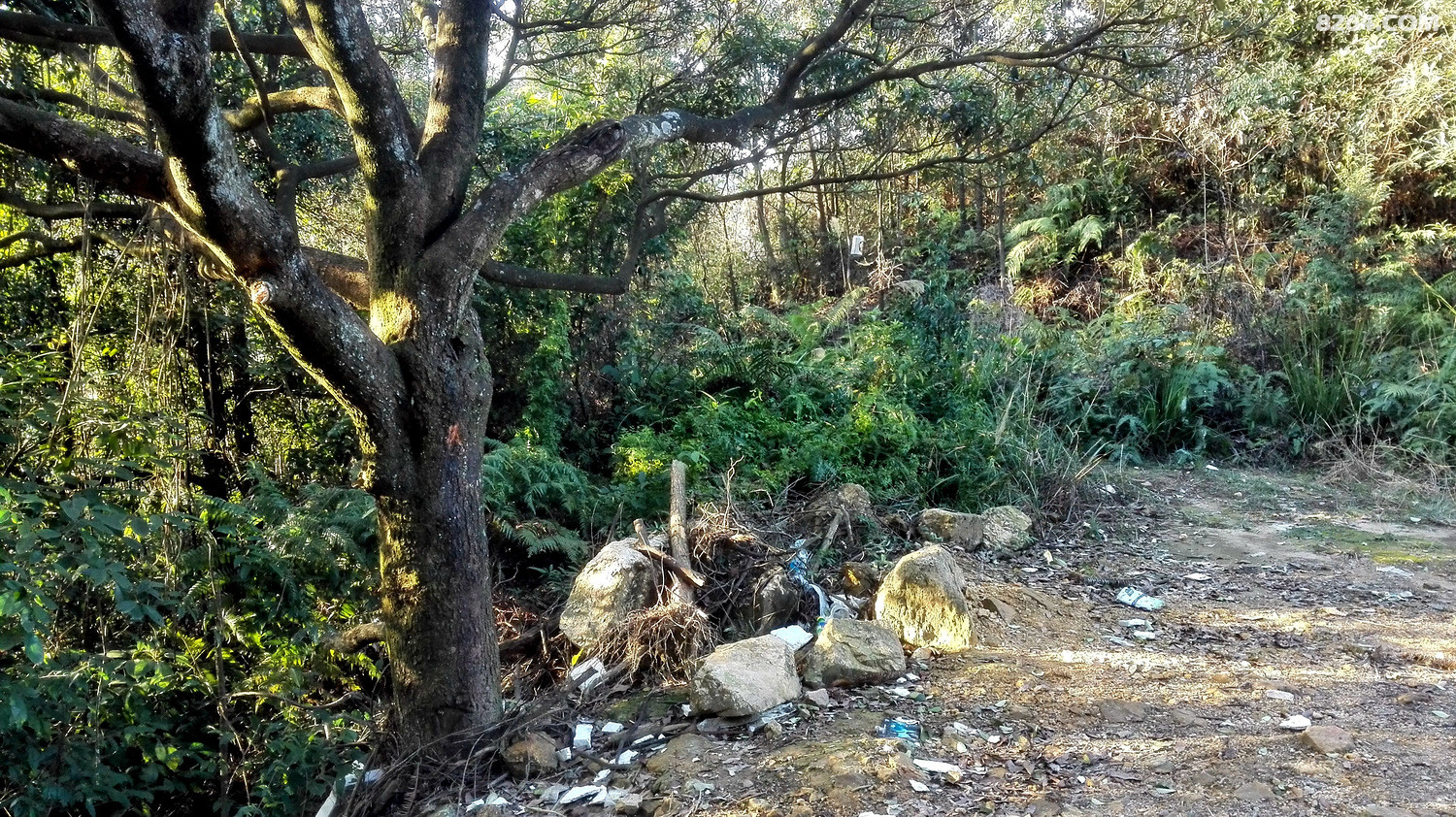 footprint_20151217_163117_59712939.jpg