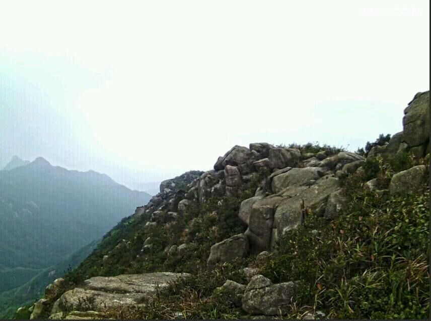 ʨ��ͷɽ2016Ԫ�� 113.jpg