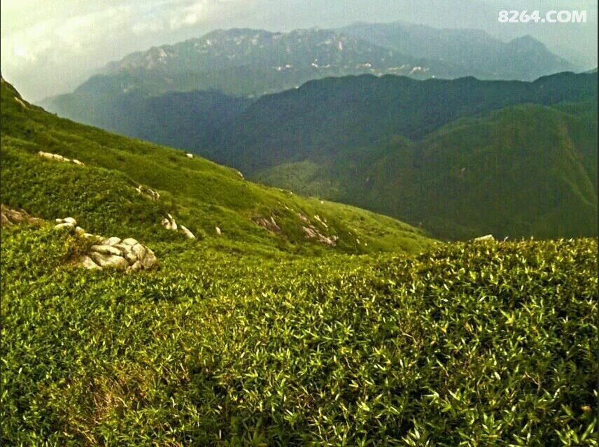 ʨ��ͷɽ2016Ԫ�� 115.jpg