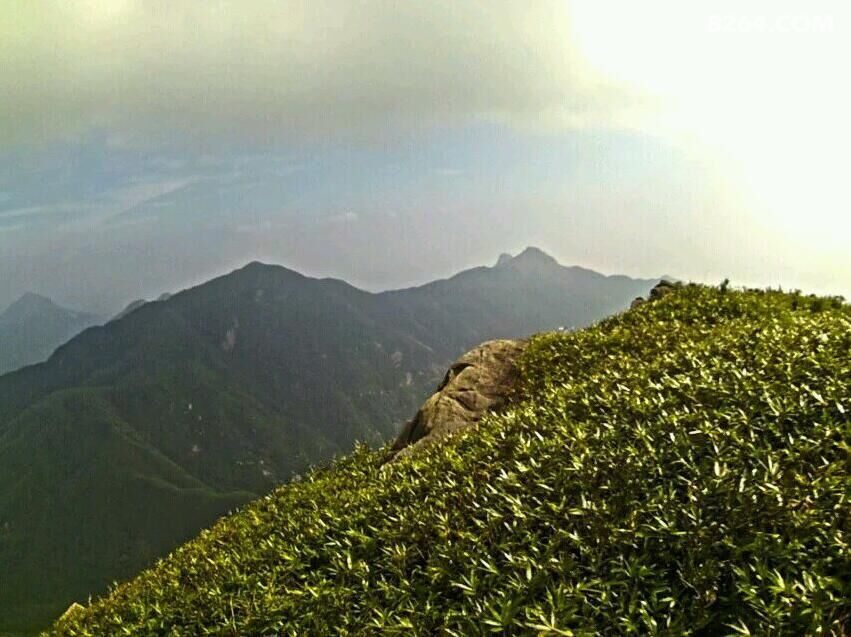 ʨ��ͷɽ2016Ԫ�� 116.jpg