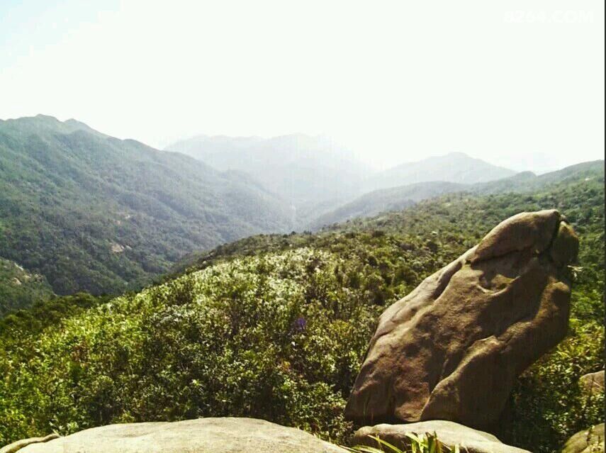 ʨ��ͷɽ2016Ԫ�� 118.jpg