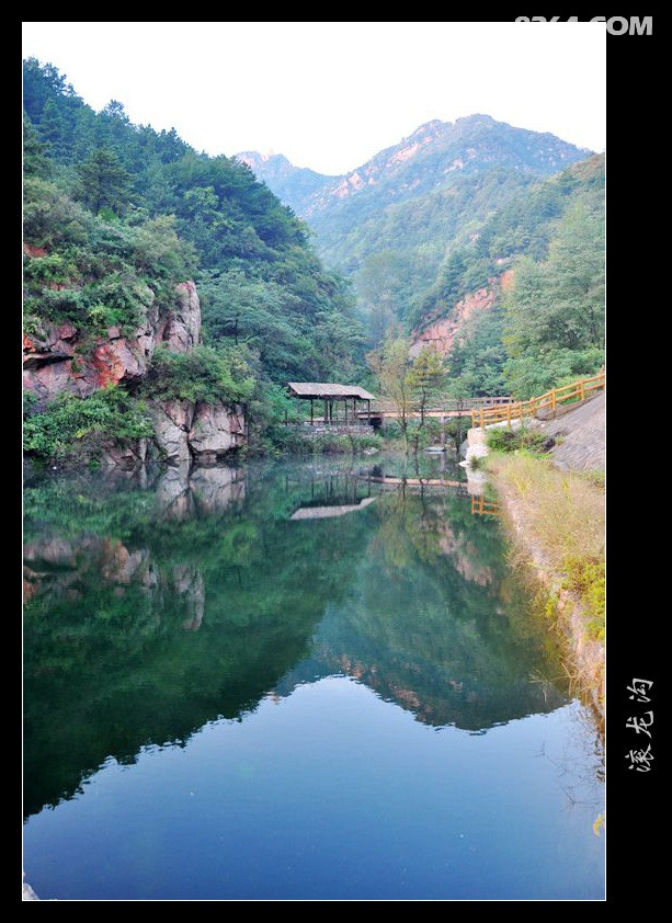 望月滚龙沟再看憋麻树