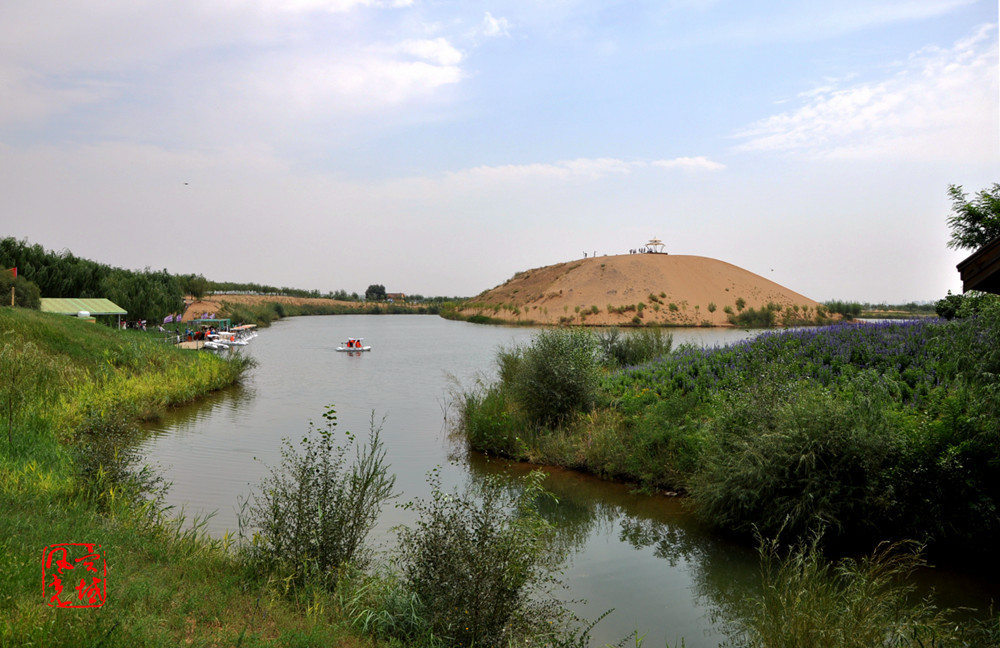 宁夏中卫金沙岛风光