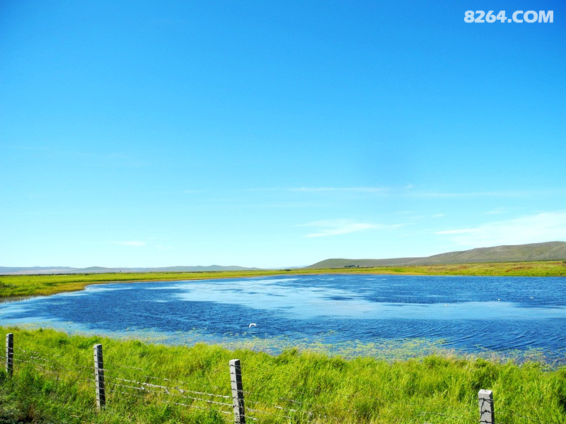 DSCN1705.JPG