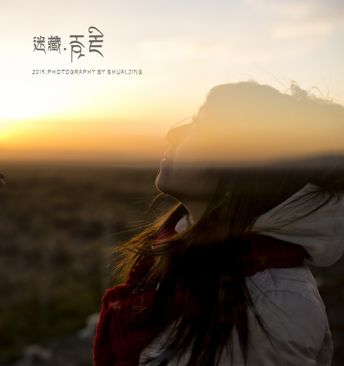 迷 . 藏