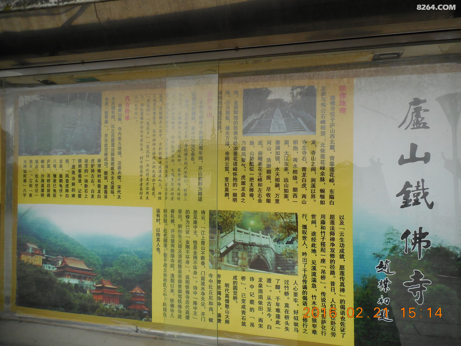 莲是清净因花是无为果游庐山铁佛寺