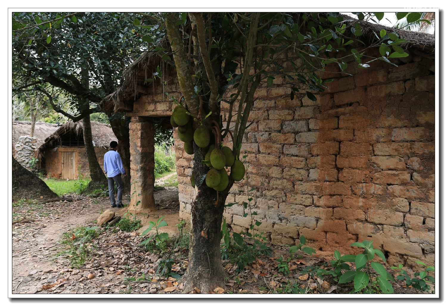 探访海南黎族原始村落王下乡洪水村