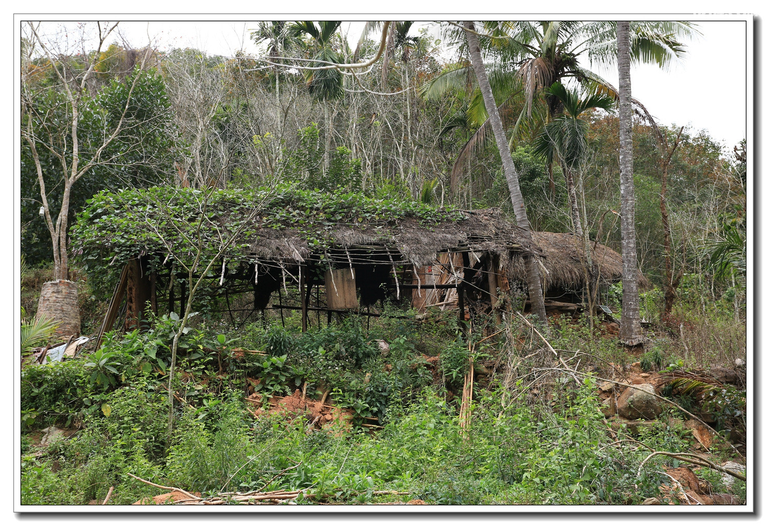 探访海南黎族原始村落王下乡洪水村