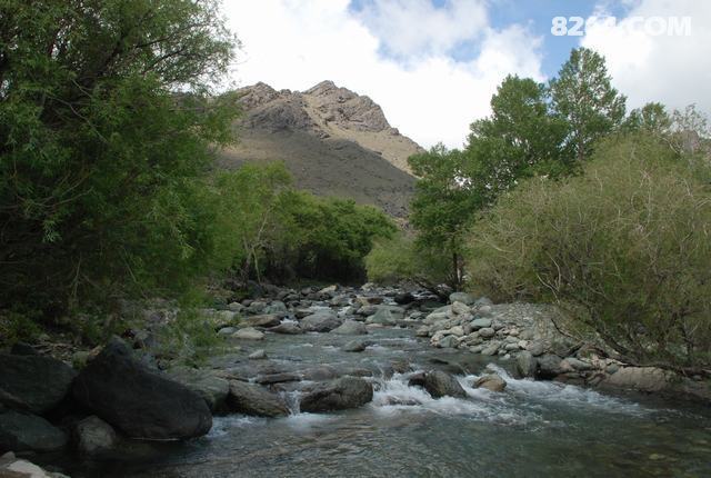 DSC_0902.JPG
