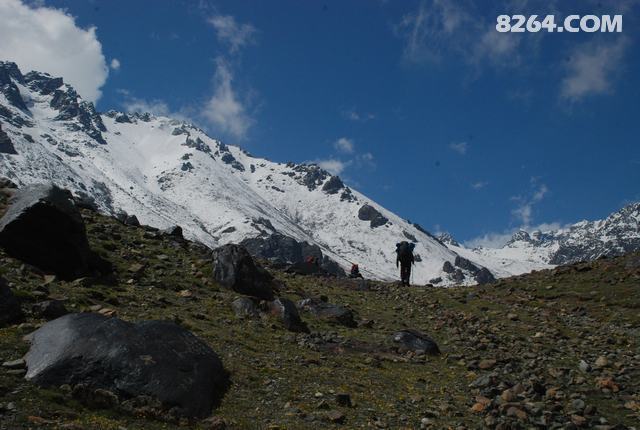 DSC_0950.JPG