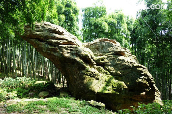 04月24日单日德清王位山踏春赏花竹海听风寻找神秘大瀑布