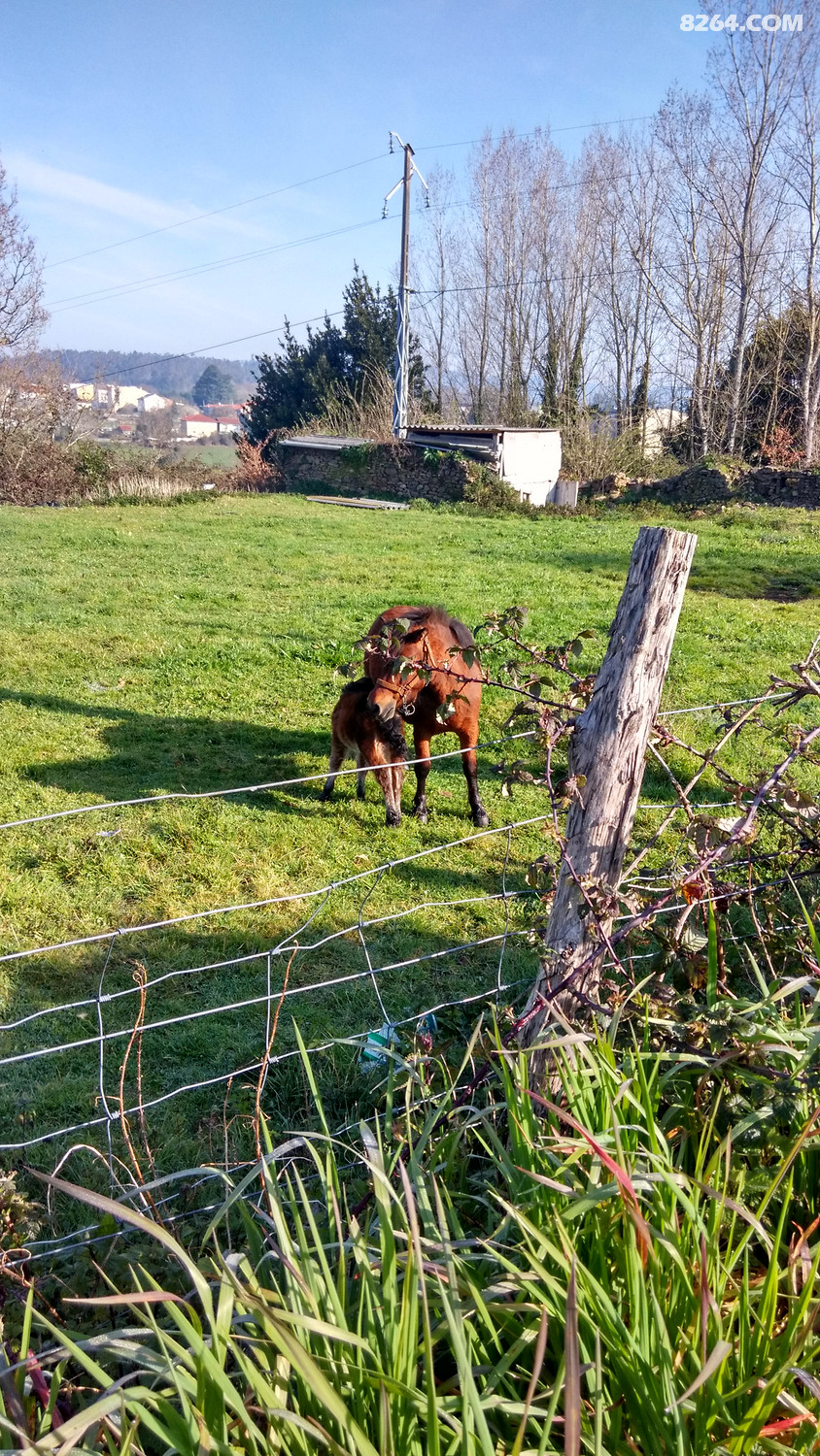 IMG_20160324_095912_HDR.jpg