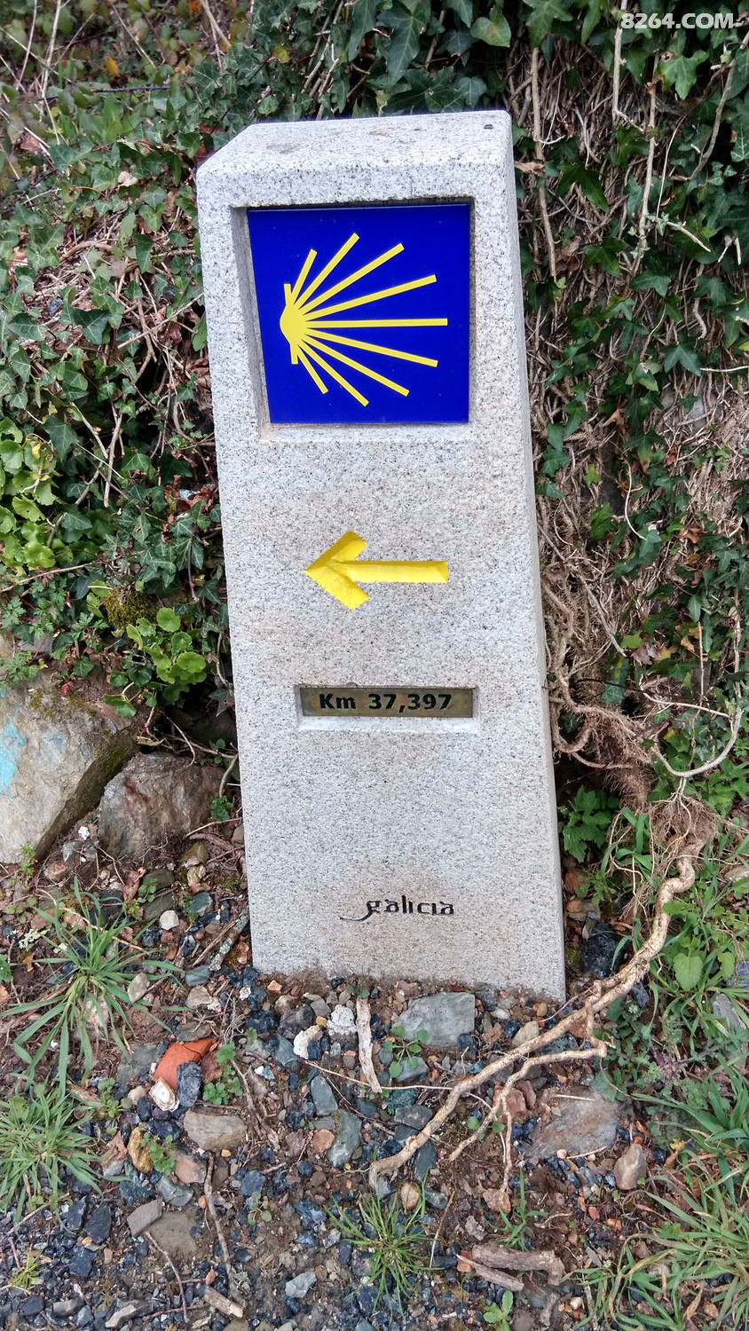 650007057492906948.jpg