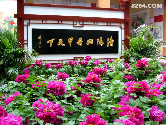 河南洛阳神州牡丹园-宝泉秘境风景区 - 第1页 - 河北 - 8264户外