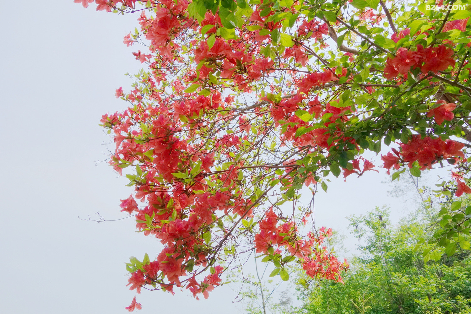 DSC00165.jpg
