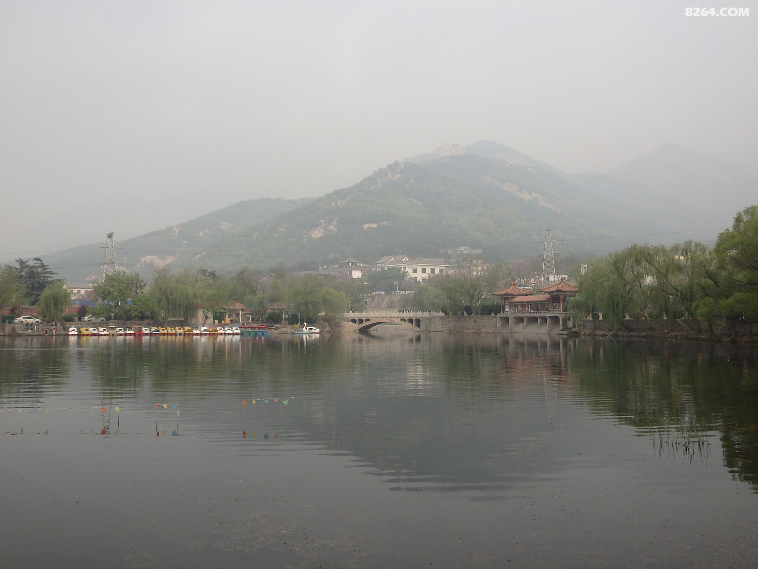 P4100019.JPG