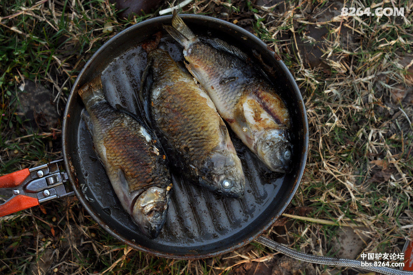 户外私房菜第八十二期酸豆角焖禾花鱼