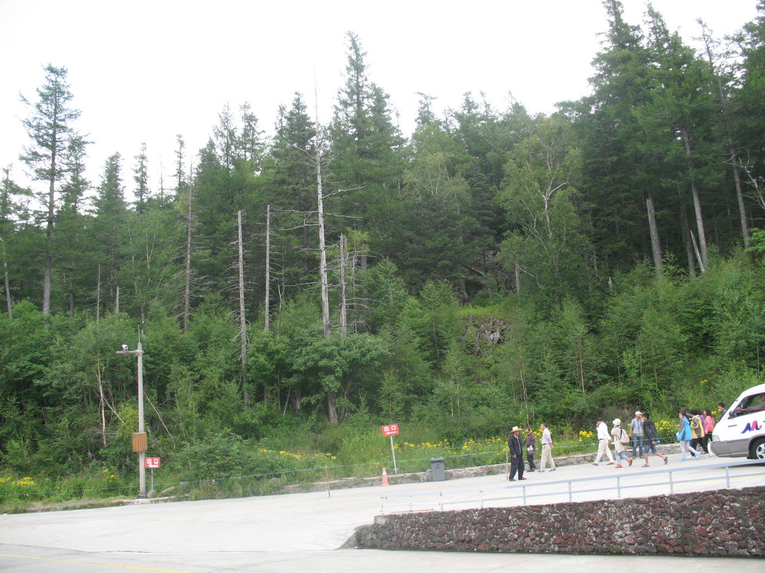IMG_0133.JPG