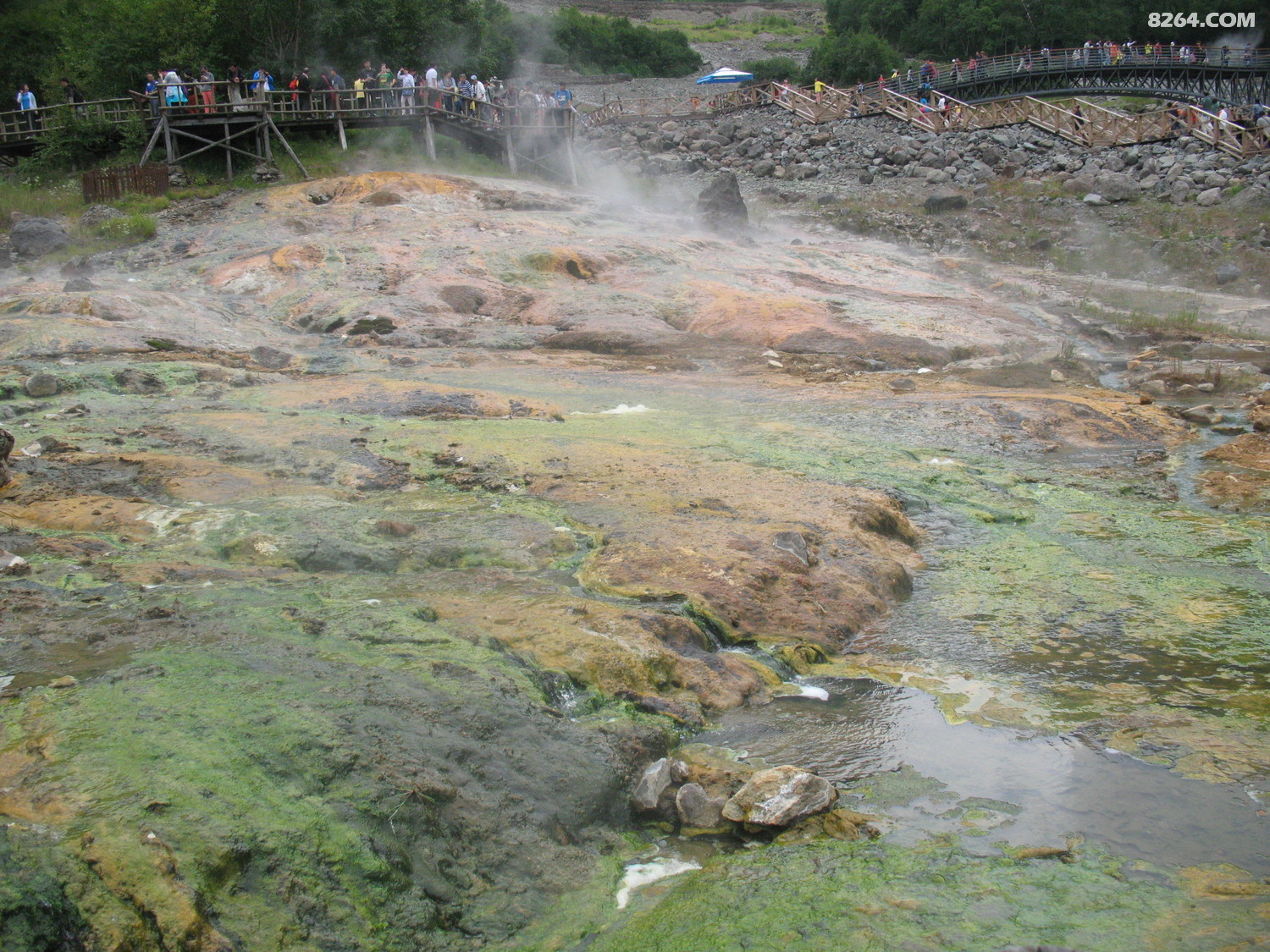 IMG_0461.JPG