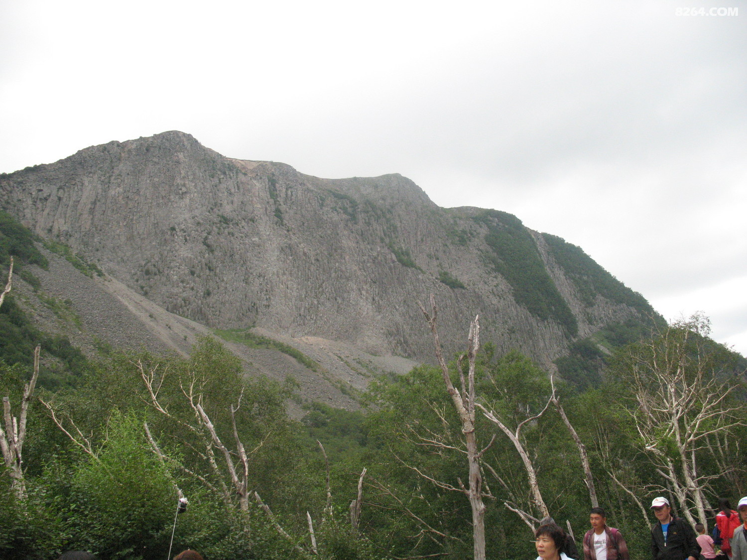 IMG_0474.JPG