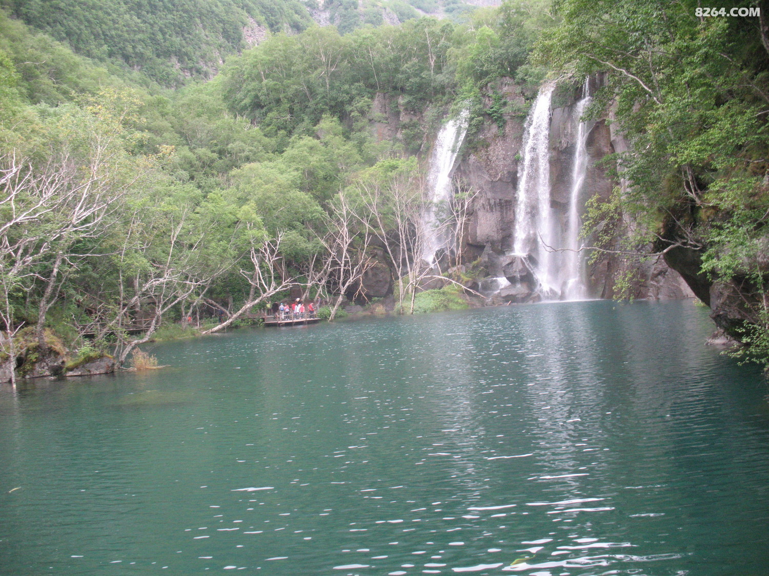 IMG_0495.JPG