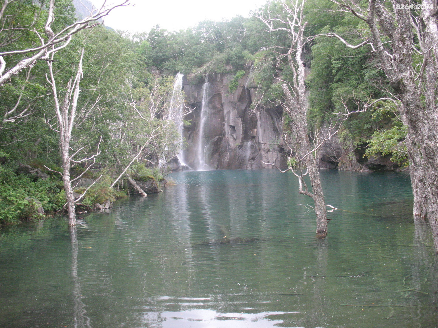 IMG_0502.JPG