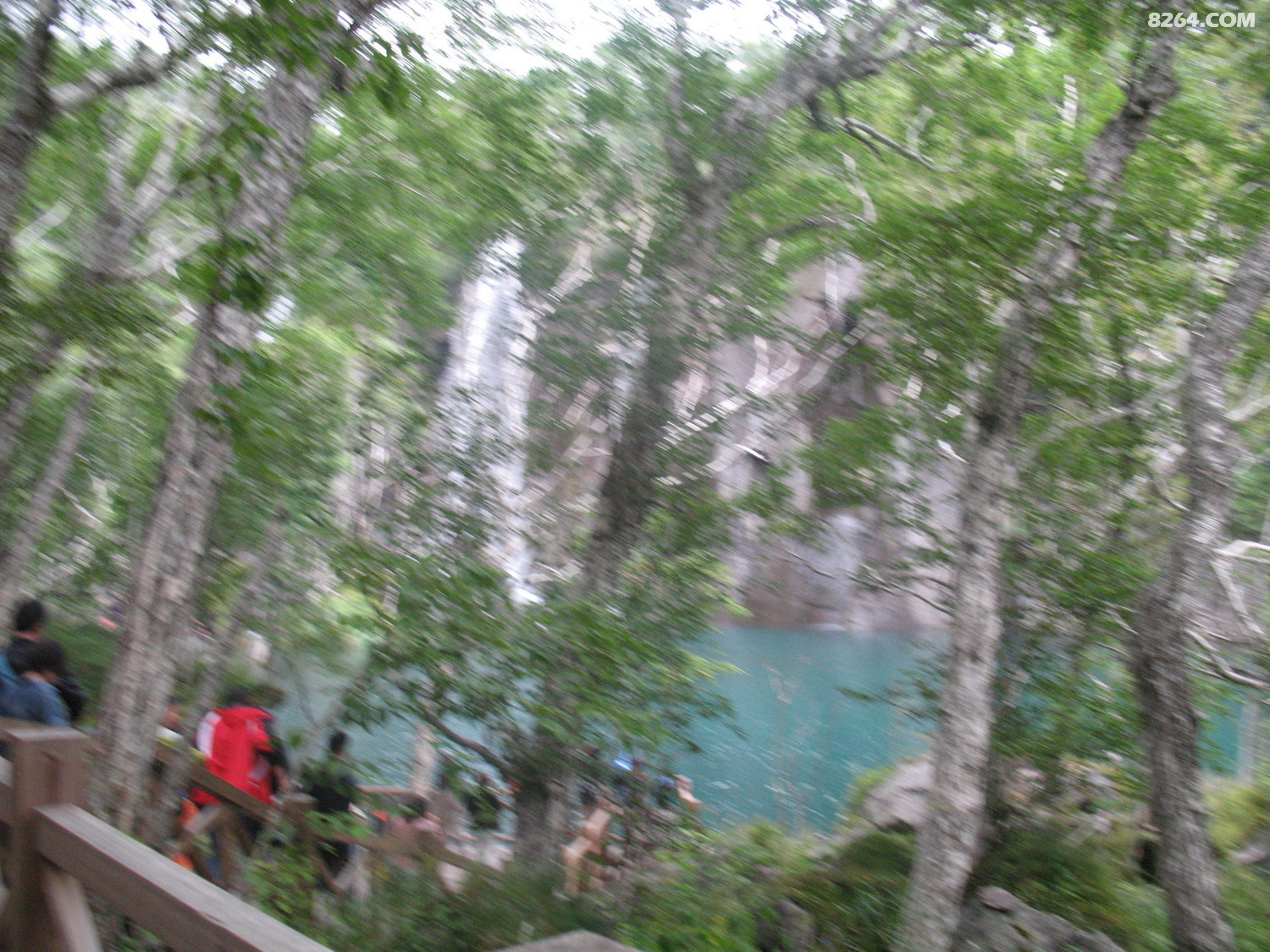 IMG_0507.JPG