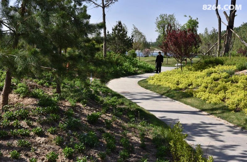 曲阳县白家湾公园随拍