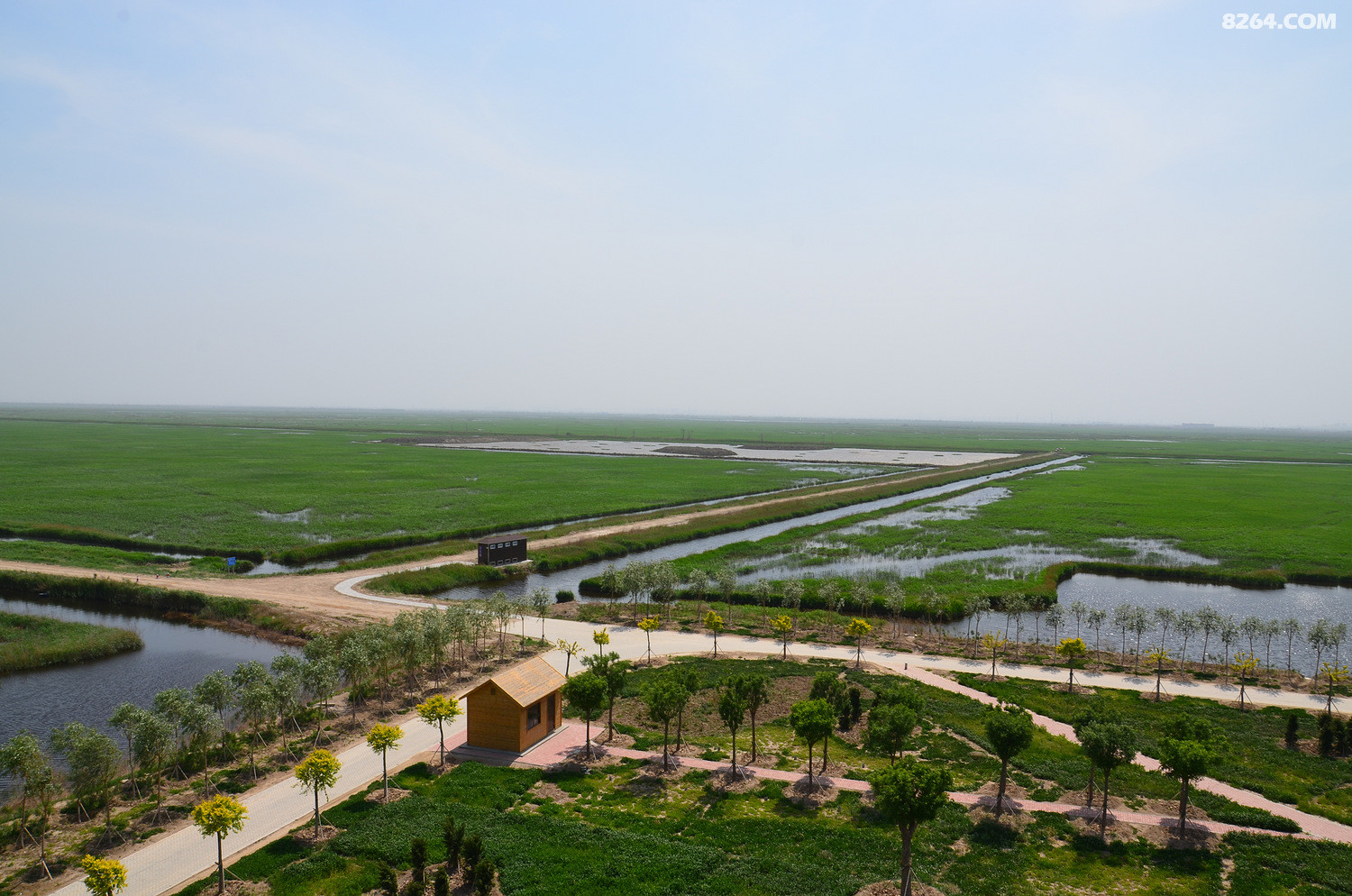 自驾沧州南大港湿地
