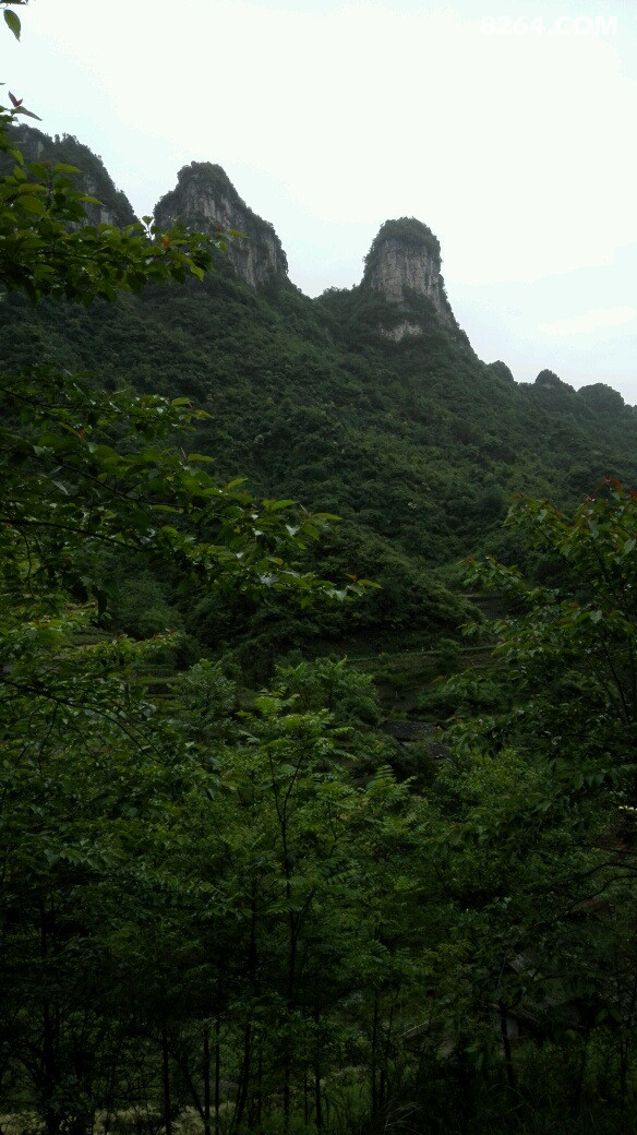 footprint_1463285104000.jpg