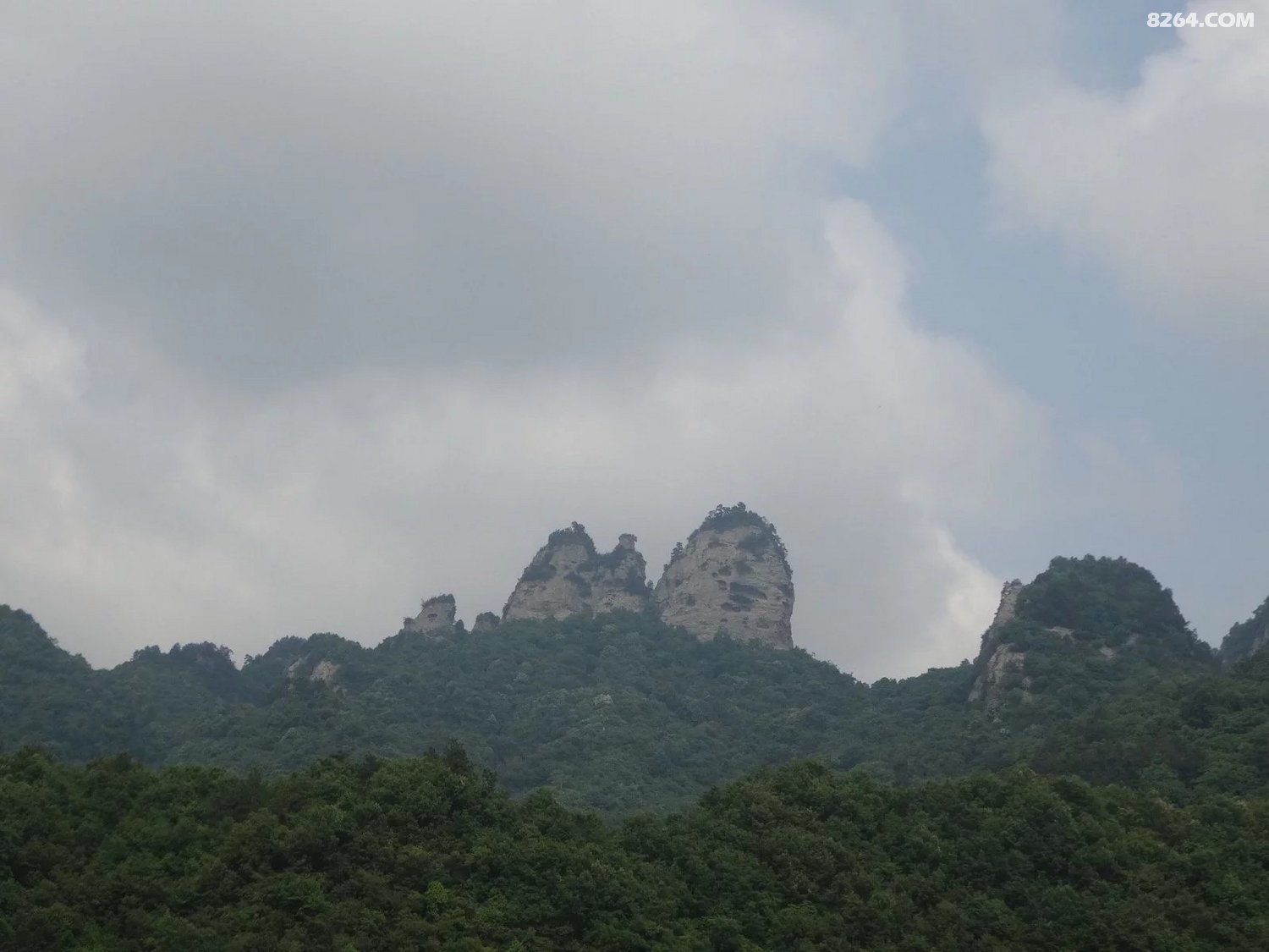 214945v9dss6k44bp494d9.jpg