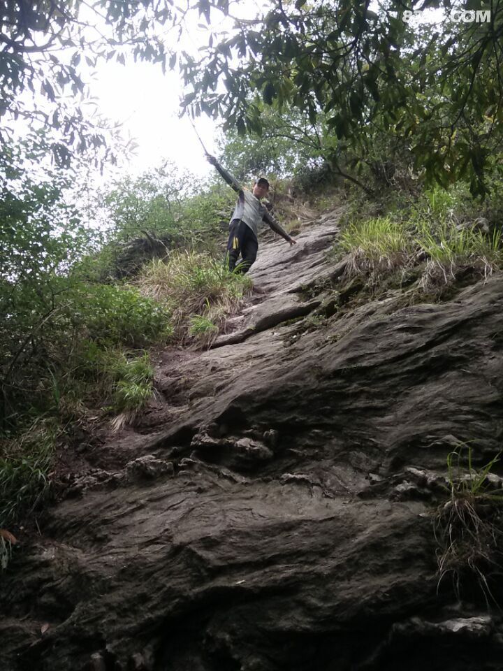 QQͼƬ20160522222117.jpg