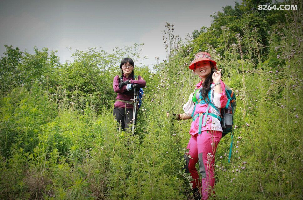 QQͼƬ20160524141856.jpg