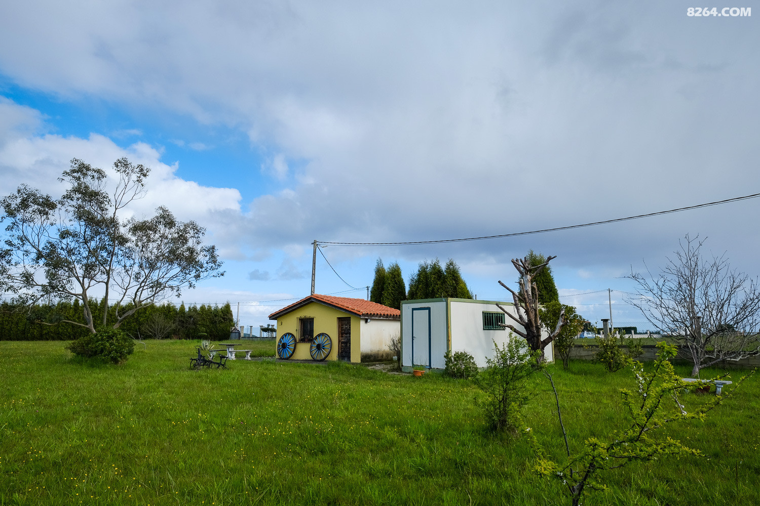 DSCF0178.jpg