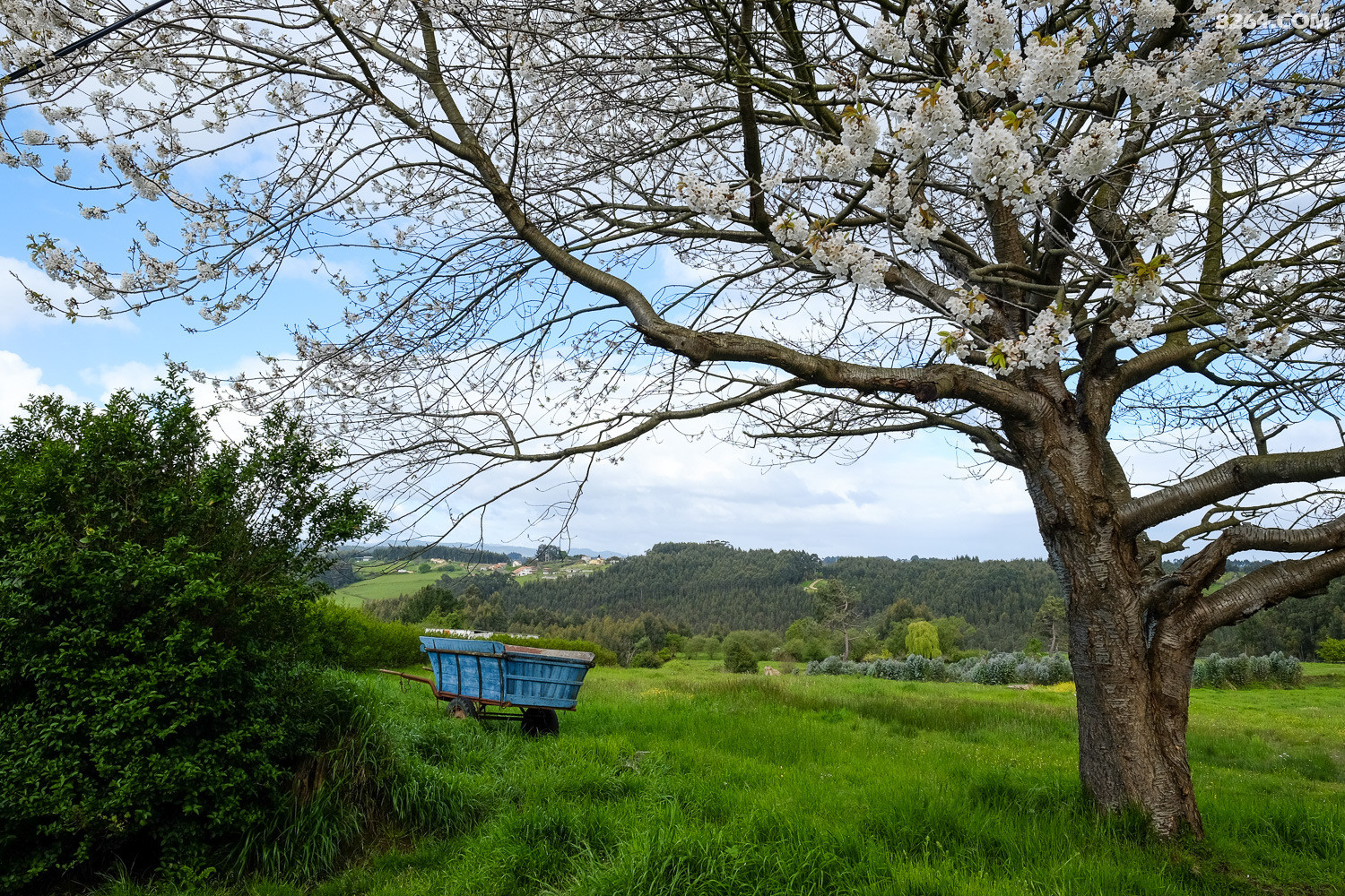 DSCF0180.jpg