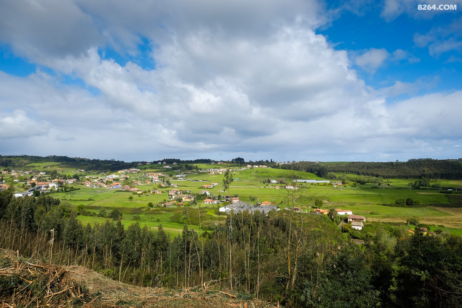DSCF0187.jpg