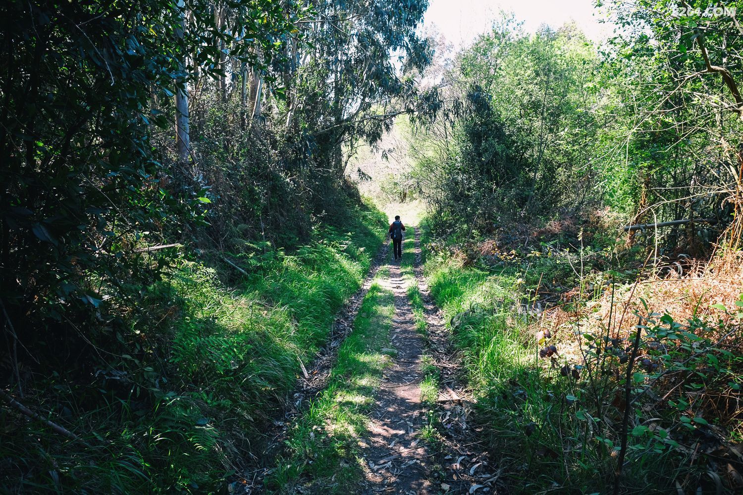 DSCF0215.jpg
