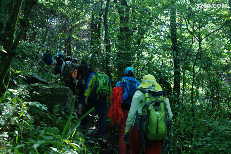 稍作修整轻装徒步在山林中穿越!
