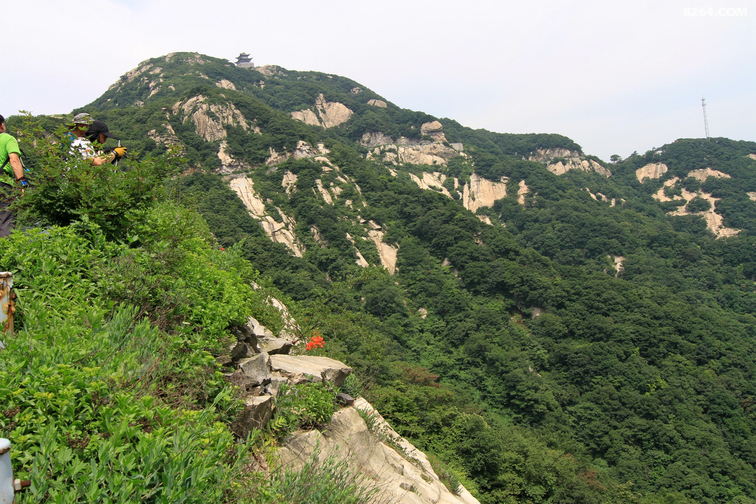 野线探路穿越桐柏山太白顶纪实 - 第1页 - 湖北 - 8264户外